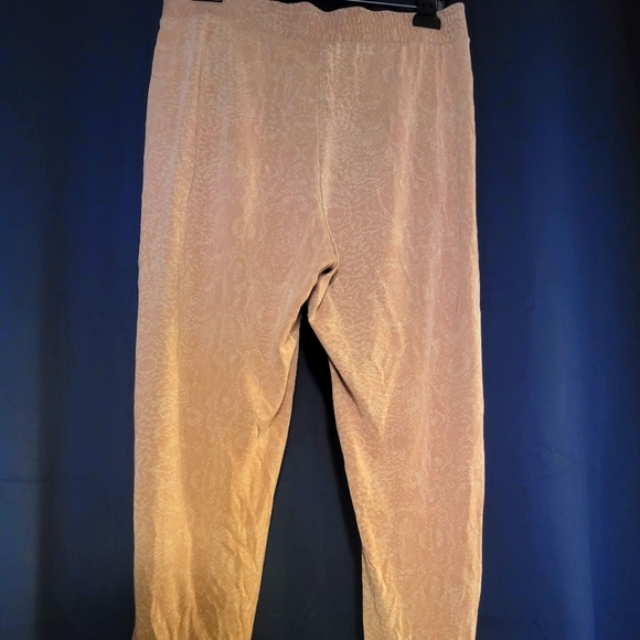 🍑 3/$15 Express Lounge Pants - Picture 1 of 5